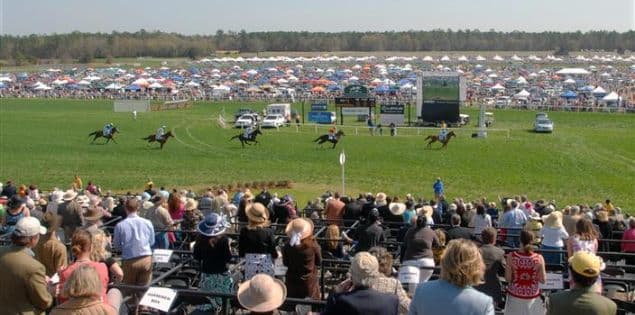 Steeplechase from the Sky